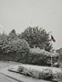 NEIGE 21 NOV 24